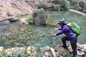2021.5.9【乐平户外】栾川八道幢~鳟鱼谷一天徒步穿越10公里摘樱桃