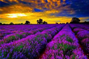 2021.9.4-28【醉美新疆】25天南北疆大环线深度自由行