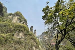 初级线2021.6.17【乐平户外】太行国家森林步道水洪池-红石堂段徒步穿越12公里