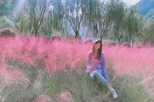 2021.10.7【乐平户外】南太行赏高山芦苇荡、网红粉黛草最美红叶一天徒步