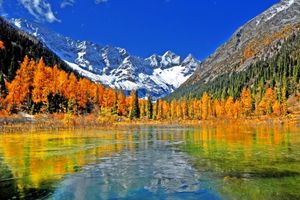 2021.10.22-31【乐平户外】金秋十月“川西-九寨”十天秋色摄影之旅