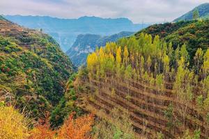 2021.10.10【乐平户外】南太行龙门古道赏红叶，梯田，古村摘柿子一天休闲徒步