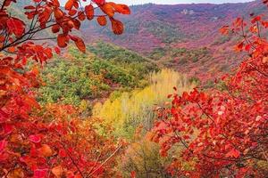 2021.11.3【乐平户外】新线路--禹州红叶谷一天10公里休闲徒步赏漫山红叶，层林尽染