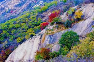 2021.11.13【乐平户外】新线路第二期洛宁-石驴-将军帽-小池一天赏石瀑，红叶，芦苇，摘野韭菜12公里徒步