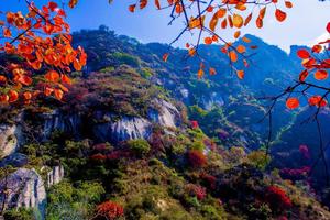 2021.11.14【乐平户外】新线路第四期洛宁-石驴-将军帽-小池一天赏石瀑，芦苇12公里徒步