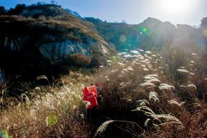 2021.12.5【乐平户外】新线路洛宁-熊耳山石凹-五龙瀑-上龙潭-大池15公里徒步