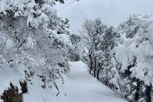 2022.2.13【乐平户外】入门级线路洛宁卧虎--酒槽沟一天10公里徒步赏雪活动