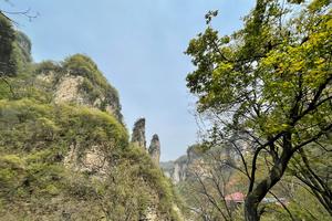 入门级休闲徒步线2022.3.18【乐平户外】太行国家森林步道水洪池-红石堂段12公里徒步穿越