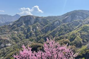 2022.4.10【乐平户外】新线路探索五锥山-魏家坑-马坊水库-东道关-料窑-神灵寨13-15公里徒步穿越