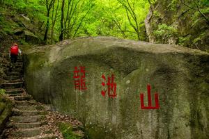 2022.5.4【五一活动】新线路--汝阳龙池山原始森林赏杜鹃一天10公里徒步休闲摄影第二期