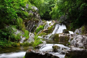 2022.6.1【乐平户外】天然森林氧吧--栾川鸭石--红豆杉峡谷一天10-12公里休闲徒步涉水