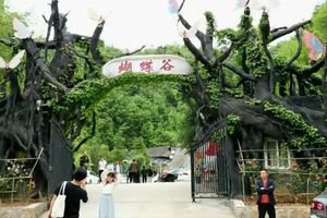 2022.6.19【乐平户外】天然森林氧吧--栾川蝴蝶谷--大南沟10公里休闲徒步避暑