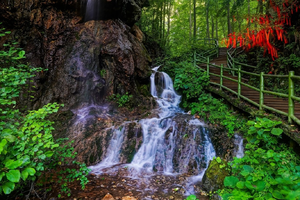 2022.6.29【乐平户外】栾川伏牛山避暑圣地--王府竹海一天9公里休闲徒步