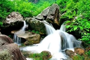 初级线2022.8.4【乐平户外】新线路--双石沟--卧龙谷一天10公里徒步 