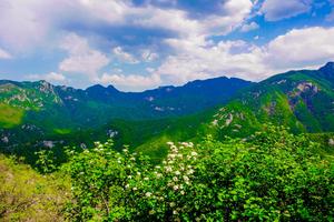 2022.9.4【乐平户外】洛宁-孟家沟-魏家坑-南沟-料窑-神灵寨10公里一天徒步穿越