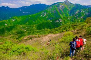 2022.9.12【乐平户外】洛宁上沟--东道关--上篙坪--神灵寨休闲徒步摘野果品大锅烩菜