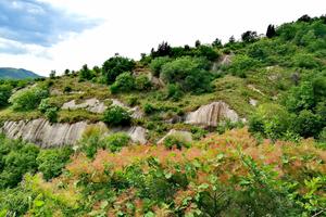 2022.9.25【乐平户外】洛宁熊耳山-三关岭-狮子岩-神灵寨徒步穿越12公里挖野韭菜