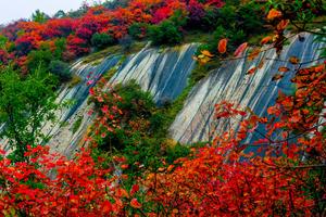 2022.10.15【乐平户外】亲子线-熊耳山八百坡-酒槽沟8公里休闲徒步赏红叶摘野果 品大锅烩菜