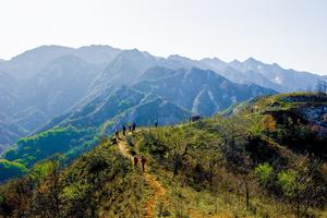 2022.11.19【乐平户外】洛宁-石驴-将军帽-小池一天观石瀑，赏芦苇10公里一天徒步