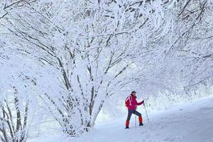 2023.2.22【乐平户外】洛宁全宝山一天赏雪摄影10公里徒步