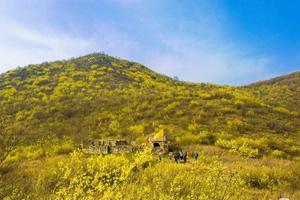 亲子线2023.4.9【乐平户外】太行秘境：太行古道--大草甸--龙王庙一天10-12公里休闲徒步 赏漫山连翘花