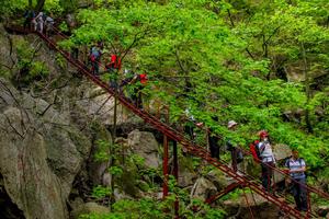 2023.4.26【乐平户外】汝阳龙池山--原始森林赏杜鹃一天9公里休闲徒步摄影