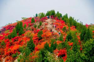 2023.10.22【乐平户外】洛宁熊耳山-神灵寨后山-红叶岭一天9公里休闲徒步 穿竹海 观石瀑 赏红叶