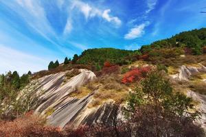 2023.11.4【乐平户外】洛宁熊耳山-五锥山一天9公里亲子休闲徒步摘野果 品大锅烩菜