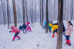 2023.12.16【乐平户外】宜阳灵山--祖师顶一天10公里休闲徒步赏雪景 打雪仗
