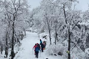2023.12.17【乐平户外】亲子休闲线--洛宁嶕峣山一天8公里休闲徒步赏雪摄影 品大锅烩菜