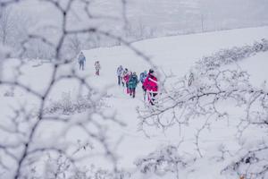 2024.2.6【乐平户外】宜阳灵山--祖师顶一天8公里休闲徒步赏雪景 打雪仗