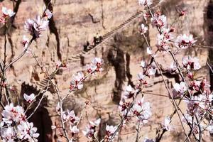 2024.3.23【乐平户外】南太行经典线--女儿梯穿越紫霞关，探秘原始天然溶洞 赏漫山野桃花