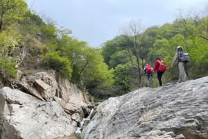 2025.4.2【乐平户外】宜阳西窑大峡谷--高山草甸一天10公里环线徒步 挖蒲公英 薅野韭菜