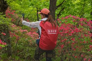 2024.4.27【乐平户外】亲子休闲线--汝阳龙池山原始森林赏杜鹃一天10公里休闲徒步 摄影