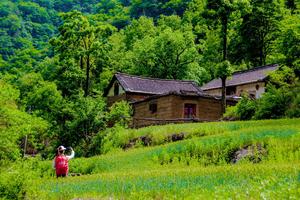2024.5.9【乐平户外】嵩县棋盘沟--猫疙瘩--娘娘庙--石鼻梁--龙潭沟一天15公里徒步穿越