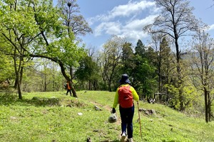 2024.9.16【乐平户外】亲子休闲线--世外桃源洛宁五春山--烟沟峡谷一天休闲徒步 摘野果，野韭菜花