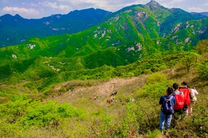 2024.9.21【乐平户外】洛宁上沟--东道关--上篙坪--神灵寨后山一天休闲徒步摘野果 品大锅烩菜