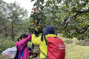 2024.9.25【乐平户外】太行山原始森林--柿子沟一天12公里休闲徒步摘柿子、山楂、野葡萄