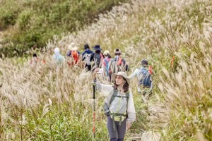 2024.11.9【乐平户外】亲子徒步线：南太行最美高山芦苇荡一天8公里休闲徒步 邂逅秋天的终极浪漫