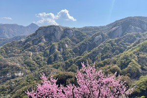 2025.3.29【乐平户外】休闲徒步线--洛宁五锥山一天10公里徒步踏青、挖野菜、观石瀑、赏桃花