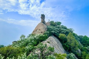 2025.5.8【乐平户外】洛宁熊耳山原始森林-狮子岩-三关岭-神灵寨一天12公里徒步穿越