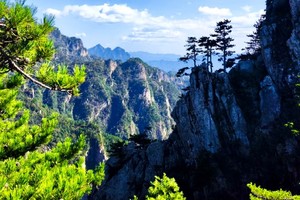 2025.5.17【乐平户外】西峡白河源穿越嵩县百合谷秘境 赏漫山大叶百合花