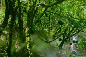 2025.5.21【乐平户外】野线穿越~避暑圣地重渡沟“河南版哀牢山”打卡河南人自己的绿野仙踪 