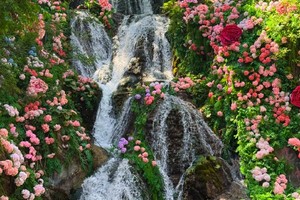 2025.5.24【乐平户外】野线穿越~避暑圣地重渡沟“河南版哀牢山”打卡河南人自己的绿野仙踪