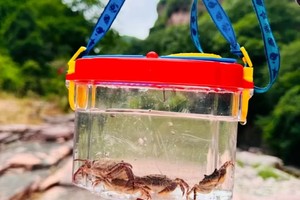 2025.6.7【乐平户外·亲子活动】杨柏大峡谷一天活动 徒步溯溪、逮螃蟹、捉小鱼 解锁夏日野趣