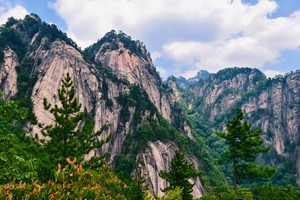 2025.6.21【乐平户外】新线路：寻秘伏牛山，醉入攻离山--白河源，中原版的哀牢山原始森林一天徒步