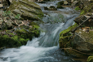 2025.6.22【乐平户外】初级户外徒步线--伏牛山冷水沟一天12公里徒步穿越