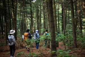 2025.9.3【乐平户外】探秘山西云蒙山 | 徒步迷雾森林，邂逅自然野趣一天12公里野线穿越