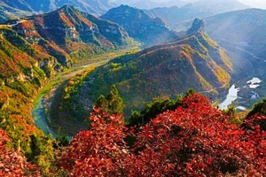 2025.10.15【乐平户外】沁河第一湾，七盘岭上红 | 一湾沁水绕太行，万里丹霞染秋光