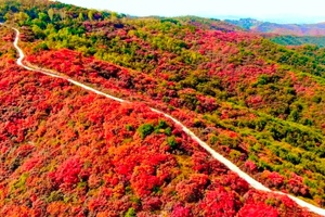 2025.10.18【乐平户外】沁河第一湾，七盘岭上红 | 一湾沁水绕太行，万里丹霞染秋光 品大锅烩菜